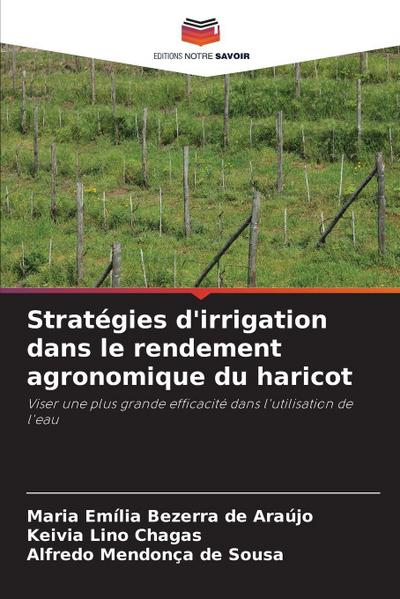 Stratégies d’irrigation dans le rendement agronomique du haricot