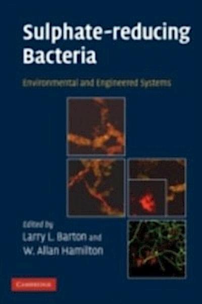 Sulphate-Reducing Bacteria