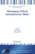Managing Critical Infrastructure Risks