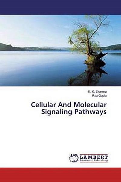 Cellular And Molecular Signaling Pathways