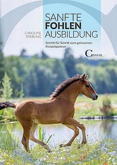 Sanfte Fohlenausbildung