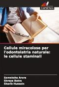 Cellule miracolose per l’odontoiatria naturale: le cellule staminali