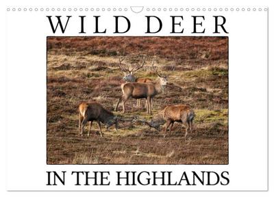 Wild Deer In The Highlands (Wall Calendar 2026 DIN A3 landscape), CALVENDO 12 Month Wall Calendar