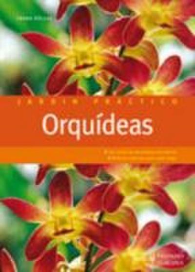 Orquídeas