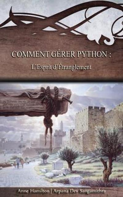 Comment gérer Python