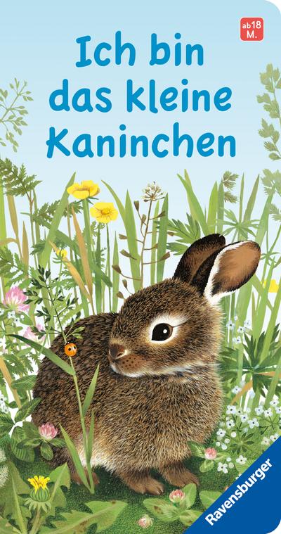 Ich bin das kleine Kaninchen