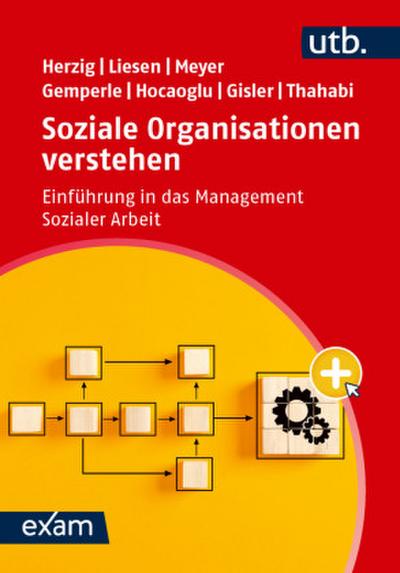 Soziale Organisationen verstehen