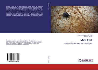 Mite Pest