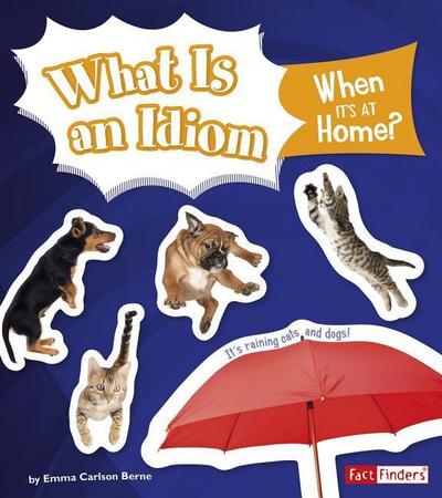 WHAT IS AN IDIOM WHEN ITS AT H