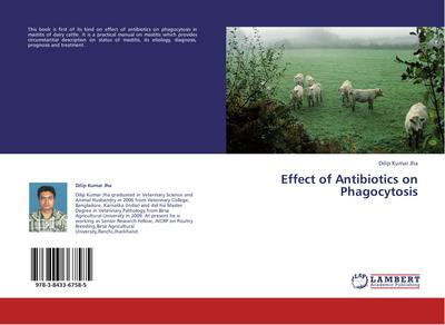 Effect of Antibiotics on Phagocytosis
