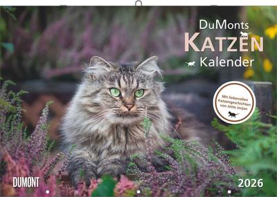 DUMONTS Katzenkalender 2026 - Broschürenkalender - Wandkalender - mit Schulferienterminen - Format 42 x 29 cm