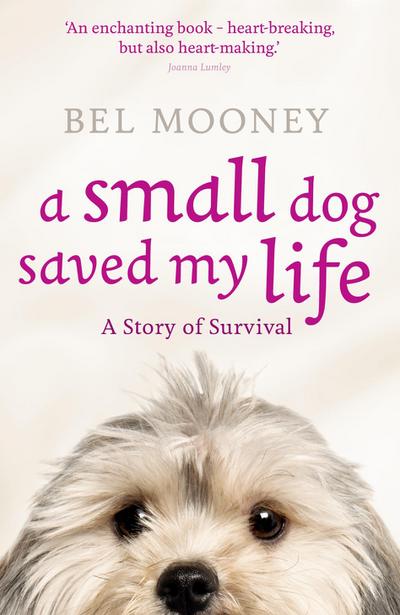 A Small Dog Saved My Life