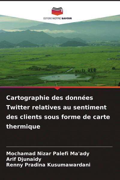 Cartographie des données Twitter relatives au sentiment des clients sous forme de carte thermique