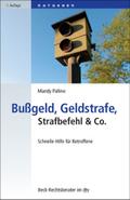 Bußgeld, Geldstrafe, Strafbefehl & Co.