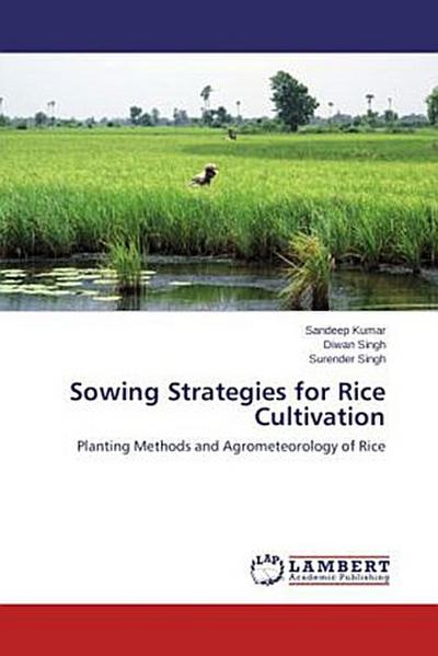 Sowing Strategies for Rice Cultivation