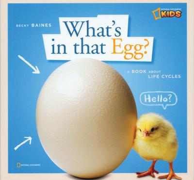 Zigzag: What’s in That Egg?