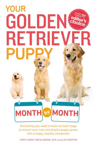 Your Golden Retriever Puppy Month by Month