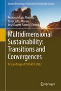 Multidimensional Sustainability: Transitions and C