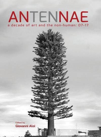 Antennae 10
