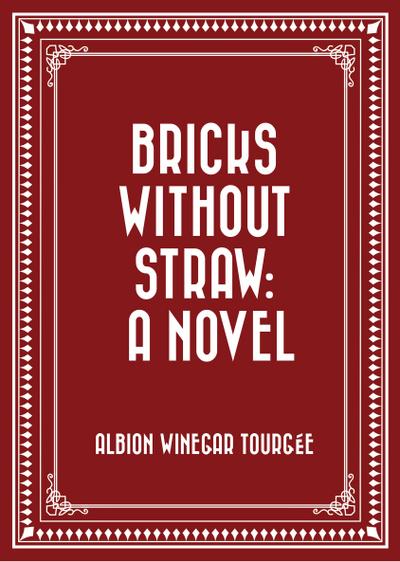 Bricks Without Straw: A Novel