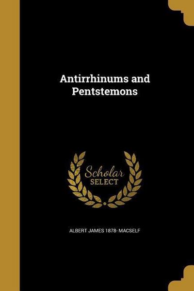ANTIRRHINUMS & PENTSTEMONS