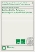 Rechtsmittel im Zivilprozess - Hommage an Bruno Ri
