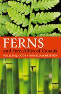Ferns and Fern Allies of Canada