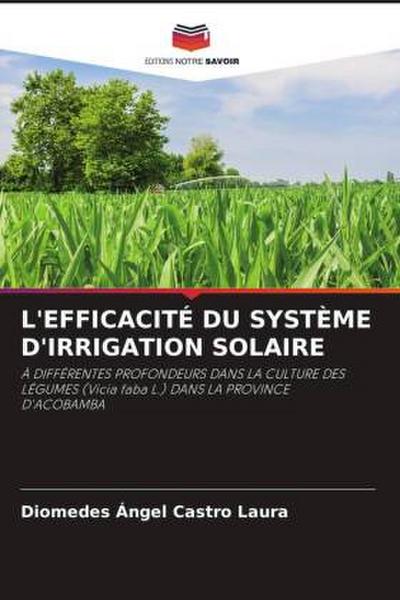 L’EFFICACITÉ DU SYSTÈME D’IRRIGATION SOLAIRE