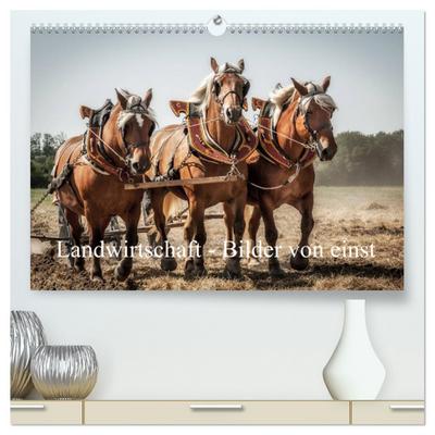 Landwirtschaft - Bilder von einst (hochwertiger Premium Wandkalender 2024 DIN A2 quer), Kunstdruck in Hochglanz