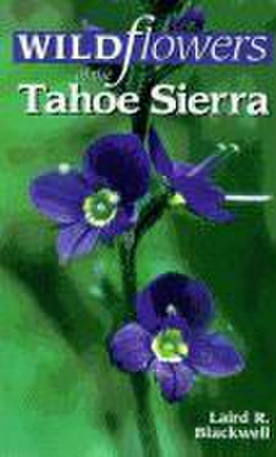 Wildflowers of the Tahoe Sierra