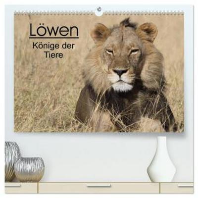 Löwen - Könige der Tiere (hochwertiger Premium Wandkalender 2026 DIN A2 quer), Kunstdruck in Hochglanz