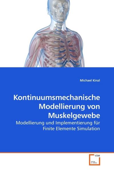 Kontinuumsmechanische Modellierung von Muskelgewebe