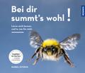 Bei dir summt’s wohl
