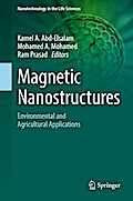 Magnetic Nanostructures