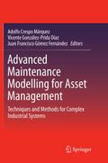 Advanced Maintenance Modelling for Asset Management