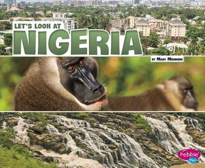 Let’s Look at Nigeria