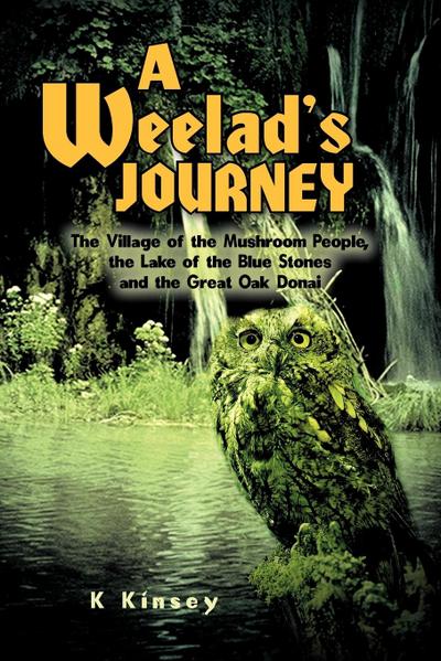 A Weelad’s Journey
