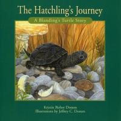 Hatchling’s Journey