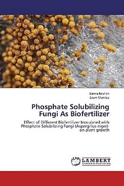 Phosphate Solubilizing Fungi As Biofertilizer