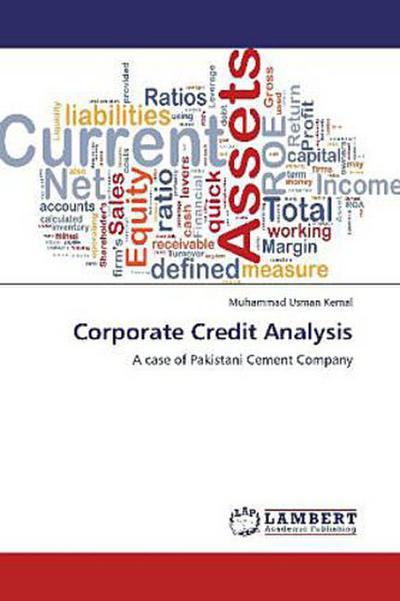 Corporate Credit Analysis