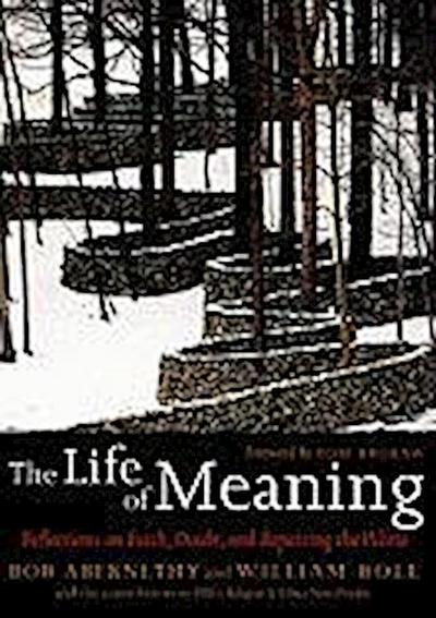 Abernethy, B:  The Life Of Meaning