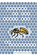 Anatomy of the Honey Bee