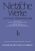 Nachgelassene Aufzeichnungen. Frühjahr 1868 - Herbst 1869