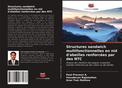 Structures sandwich multifonctionnelles en nid d’abeilles renforcées par des NTC