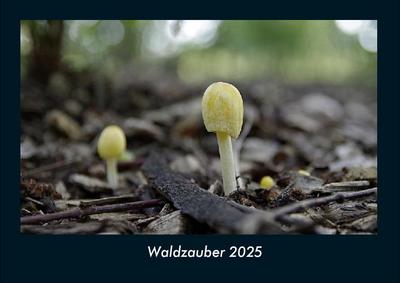 Waldzauber 2025 Fotokalender DIN A4