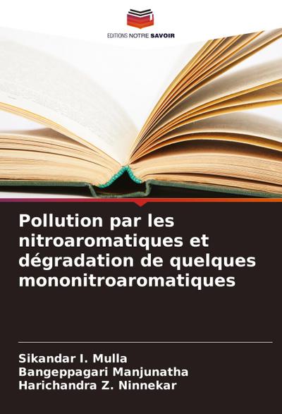 Pollution par les nitroaromatiques et dégradation de quelques mononitroaromatiques