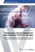 Pulmonary Vessel Detection and Analysis from CT Im