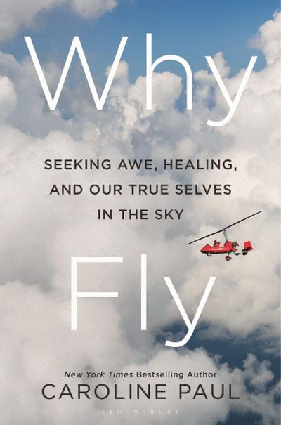 Why Fly