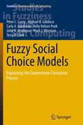 Fuzzy Social Choice Models
