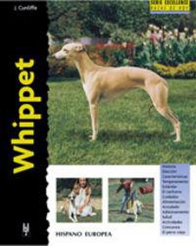 Whippet